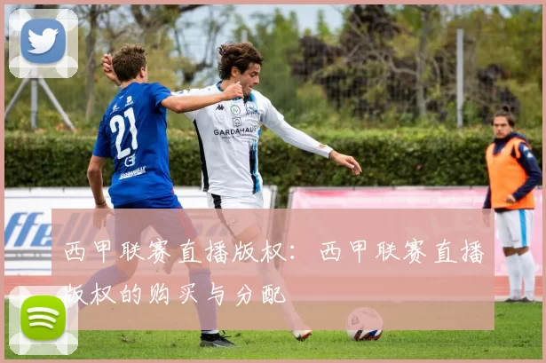 西甲联赛直播版权：西甲联赛直播版权的购买与分配