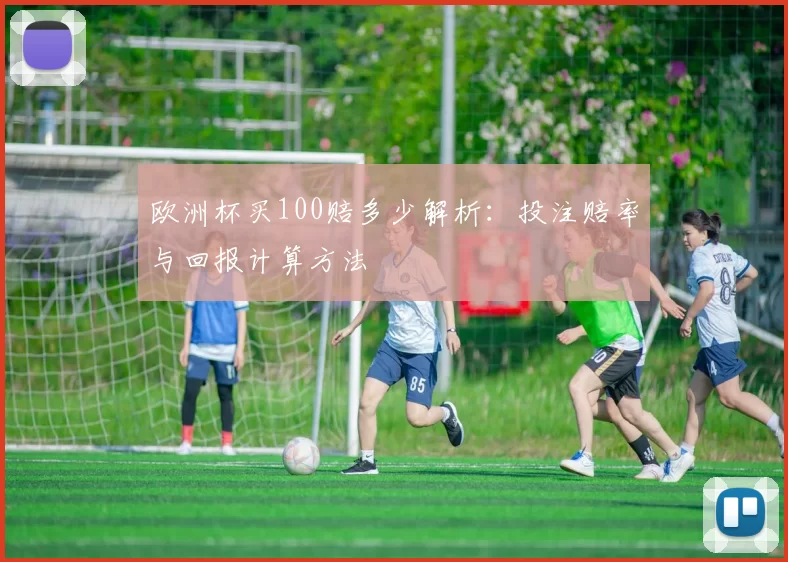 欧洲杯买100赔多少解析：投注赔率与回报计算方法