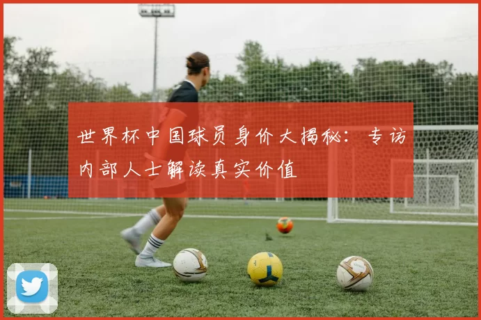 世界杯中国球员身价大揭秘:专访内部人士解读真实价值