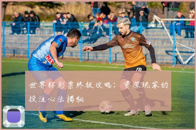 世界杯彩票终极攻略:资深玩家的投注心法揭秘