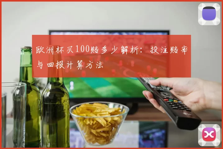 欧洲杯买100赔多少解析：投注赔率与回报计算方法