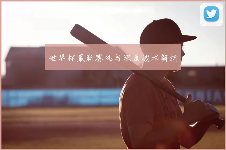 世界杯最新赛况与深度战术解析