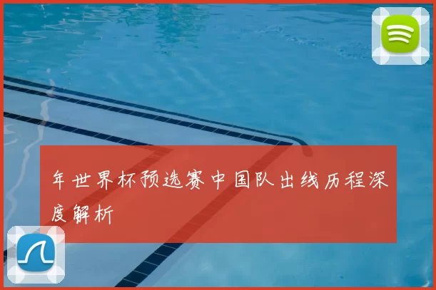 年世界杯预选赛中国队出线历程深度解析